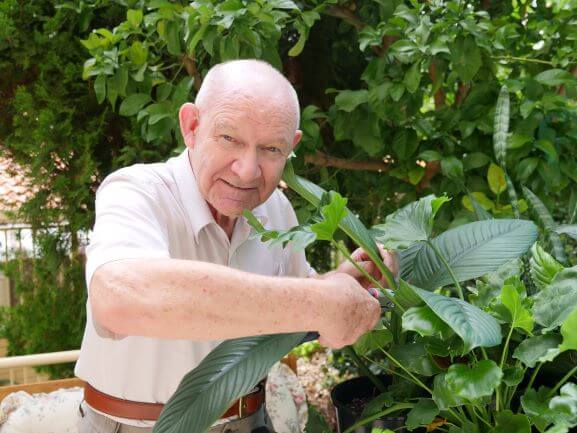 older man in garden