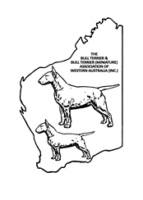 Bull Terrier Associaton